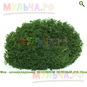 Стабилизированный мох - кочка (кладония), цвет основной Зеленый - Мох - купить у производителя Мульча.рф