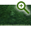 Стабилизированный мох - кочка (кладония), цвет основной Зеленый