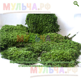 Стабилизированный мох лесной листостебельный, пластами - Мох - купить у производителя Мульча.рф