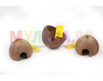 Скорлупа кокосового ореха (половинки)