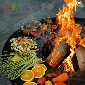 Кольцо-гриль на костровую чашу - все для пикника, мангалы, грили, костровые чаши и барбекю купить в магазине Мульча.рф