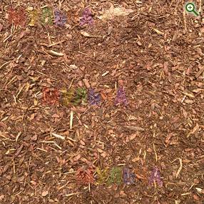 Кора березы 0-1 см гумус, 60 л органическая мульча для сада и дачи в магазине Мульча РФ.