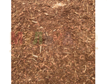 Кора березы 0-1 см гумус