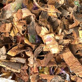 Кора березы 4-10 см - купить у производителя Мульча.рф