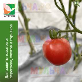 Агротекс Комплект для томатов - Геотекстиль Гекса Агротекс - купить у производителя Мульча.рф