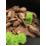 Кора сосны Стандарт, фракция 4-10 см, 60 л