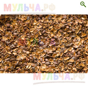 Скорлупа кедрового ореха - Скорлупа, шелуха, тунга - купить у производителя Мульча.рф