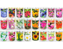 Цветы в банках (наборы для выращивания)