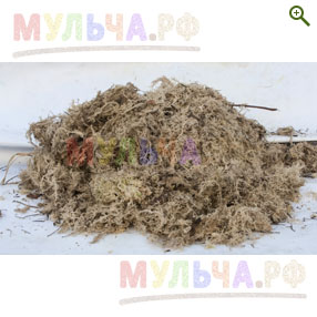 Лесной мох (сфагнум), в мешках - Мох лесной, болотный - купить у производителя Мульча.рф