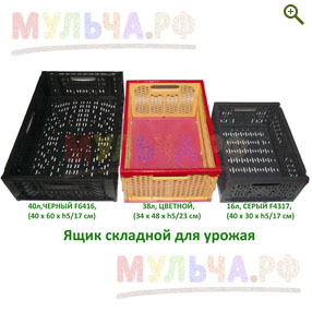 Ящики складные для урожая - Прочий инструментарий - купить у производителя Мульча.рф