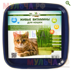 Живые витамины для кошек и собак - Наборы для выращивания - купить у производителя Мульча.рф