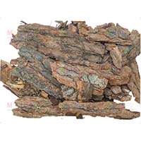 Кора кедра – эффективная и ароматная мульча Кора кедра – эффективная и ароматная мульча
