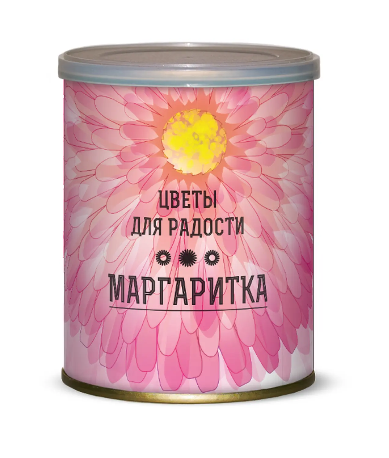 Подарочный набор для выращивания "Цветы для радости" (Маргаритки)