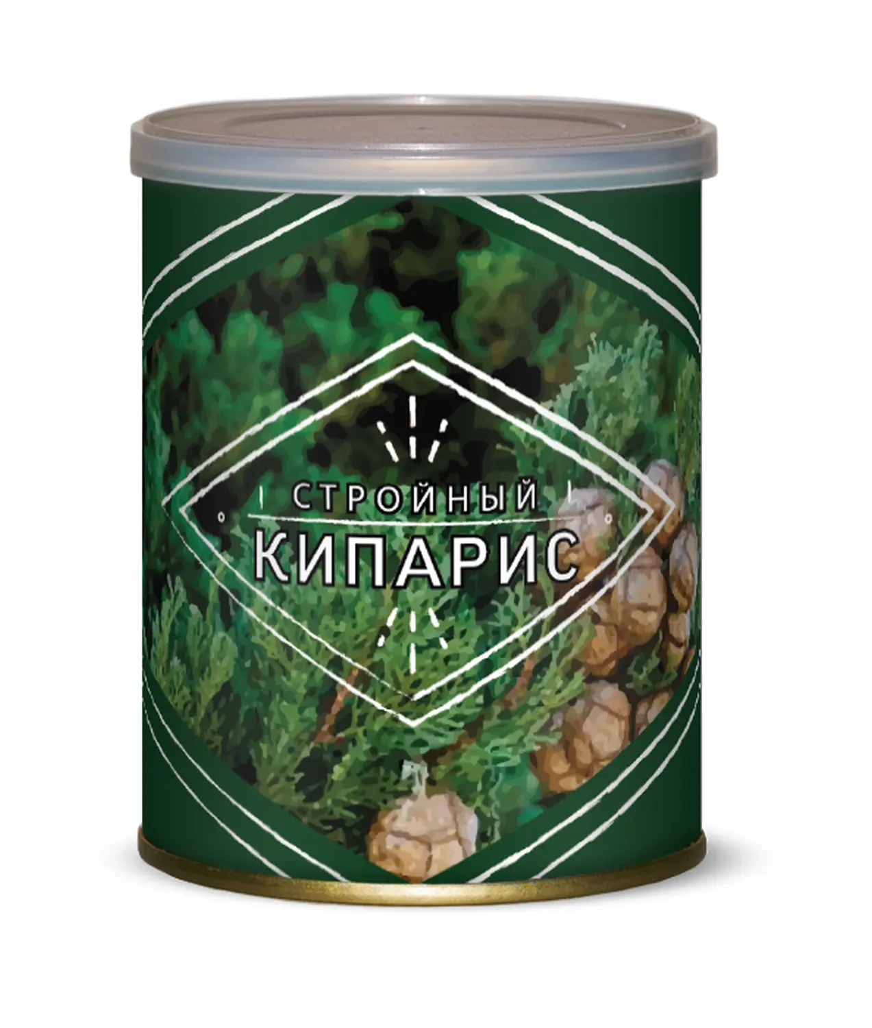 Подарочный набор для выращивания Стройный кипарис
