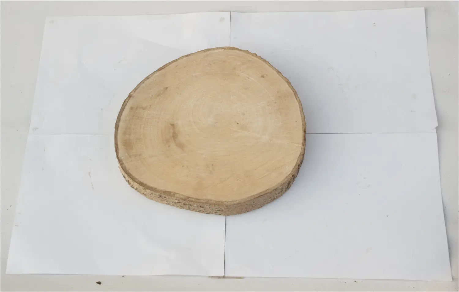Спил осина шлифовка СОсШ1, (Ø 30-35 см, h 3см), шт