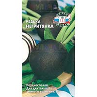 Редька для салатов и не только Редька для салатов и не только
