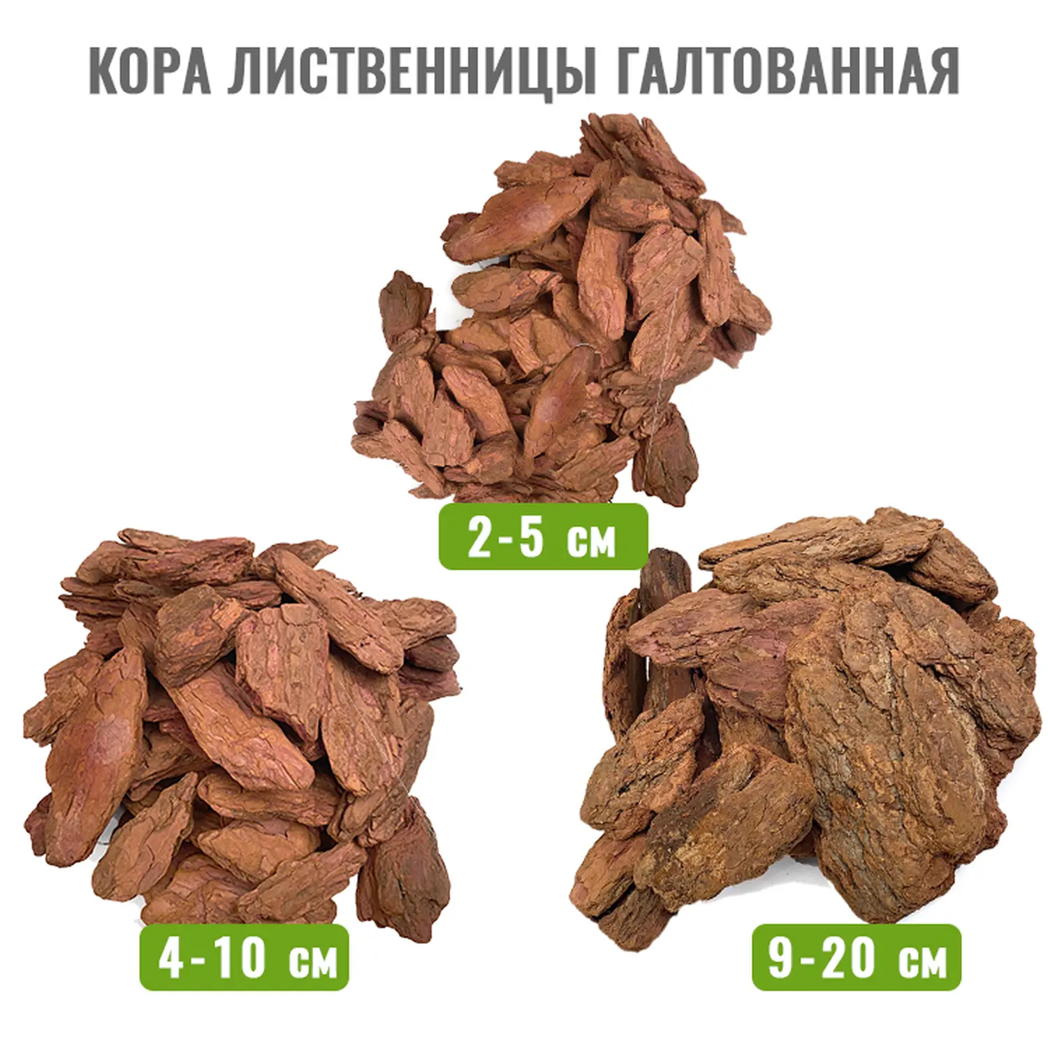 Кора лиственницы Крупная Галтованная поштучно, кг