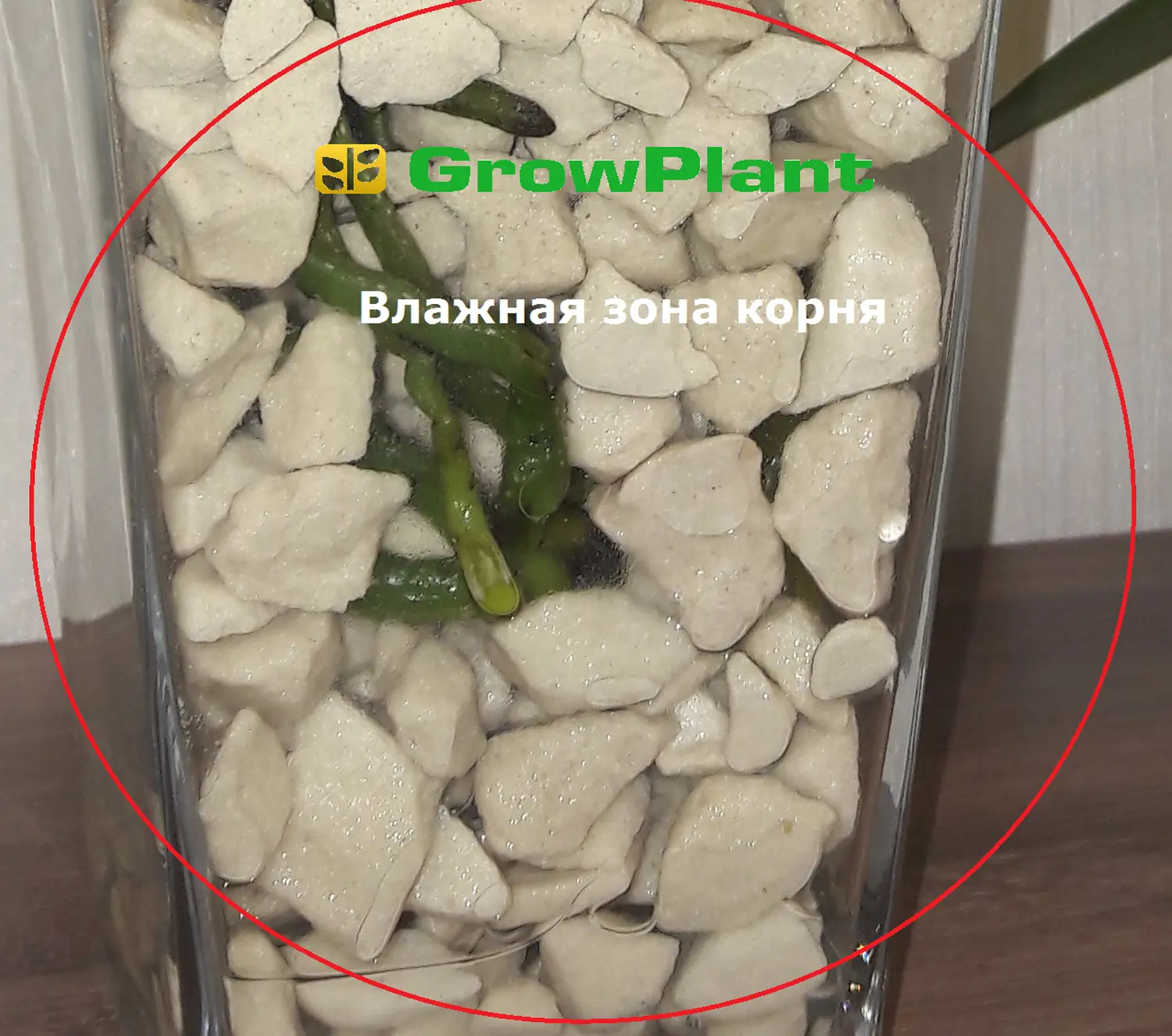 Пеностекло Субстрат Growplant, фр. 5-30 мм, зеленый, 50 л