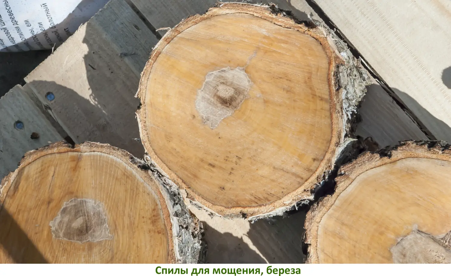 Спилы поквадратно дуб для мощения, (Ø 10-35см, h 8см), м.кв.