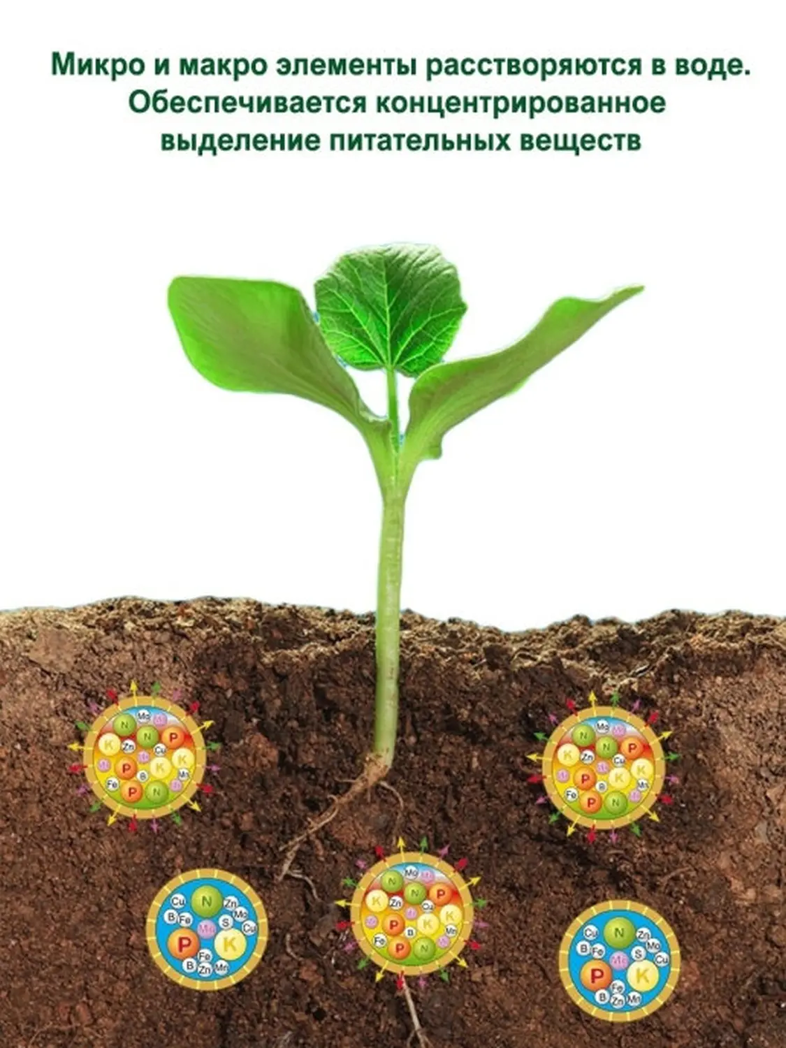 Осмокот Экзакт Стандарт Хай K (Osmocote Exact Standart High K) 11-11-18+ТЕ, 5-6 месяцев , 1 кг