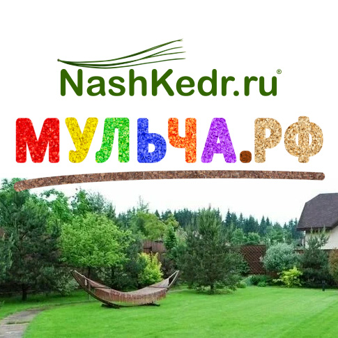 МульчаРф