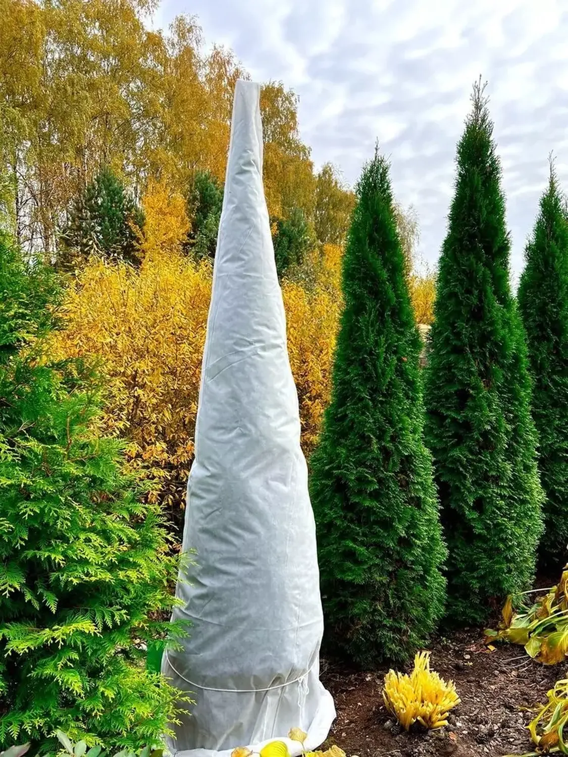 Чехол-укрытие для Елей, Сосен (чехол + скобы), h 2,4 * Ø 2,2 м, уп