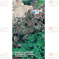 Душица: ароматная, вкусная, целебная Душица: ароматная, вкусная, целебная
