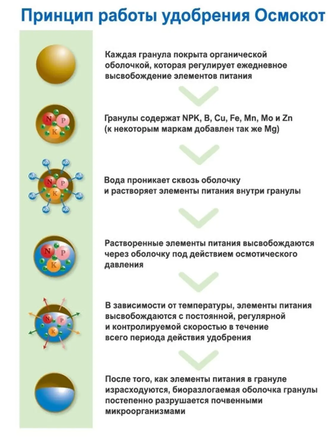 Осмокот Экзакт Стандарт Хай K (Osmocote Exact Standart High K) 11-11-18+ТЕ, 5-6 месяцев , 1 кг