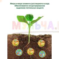 Гранулированное удобрение Осмокот содержит все важные микро и макроэлементы Гранулированное удобрение Осмокот содержит все важные микро и макроэлементы