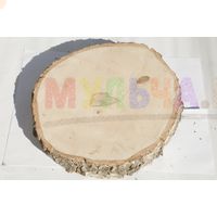 Аккуратно отпиленные и тщательно отшлифованные березовые спилы Аккуратно отпиленные и тщательно отшлифованные березовые спилы