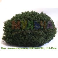 Мох-кочка для создания декоративных композиций Мох-кочка для создания декоративных композиций