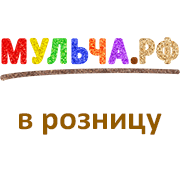 Начало работы магазина для розничных покупателей Начало работы магазина для розничных покупателей