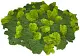 Мох стабилизированный №6 оливковый, 30*40 см, пак