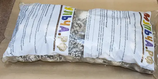 Шишка сосновая крупная СЕРЕБРО, шт