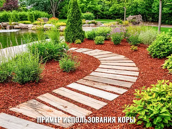 Кора сосны 0-1 см(гумус), 60 л