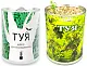 Дерево в банке "Туя"