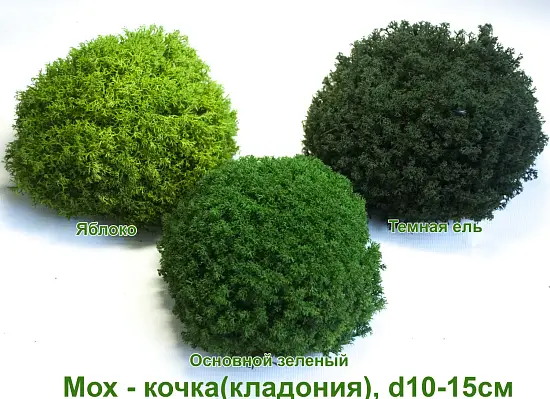 Мох - кочка 'кладония', Зеленый основной, Ø 10-15 см, шт