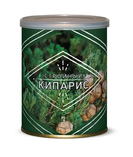 Подарочный набор для выращивания Стройный кипарис