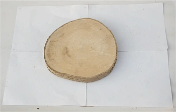 Спил осина без шлифовки СОс, (Ø 30-35 см, h 3см), шт