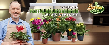 Фитолампа(запасная) «Здоровья Клад 9 Вт»