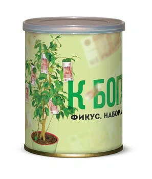 Подарочный набор для выращивания Фикус К богатству 