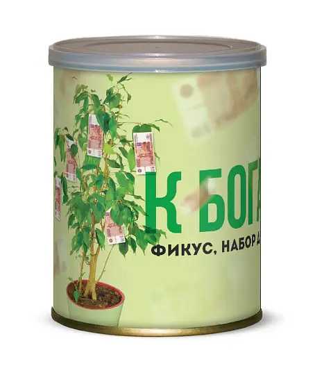 Подарочный набор для выращивания Фикус К богатству 