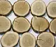 Спилы поквадратно дуб шлифовка БЕЗ коры, (Ø 2-15см, h 1,5-2см), м.кв.