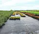 Агротекс Геоткань 150, Черный, 2,1*50 м, рул