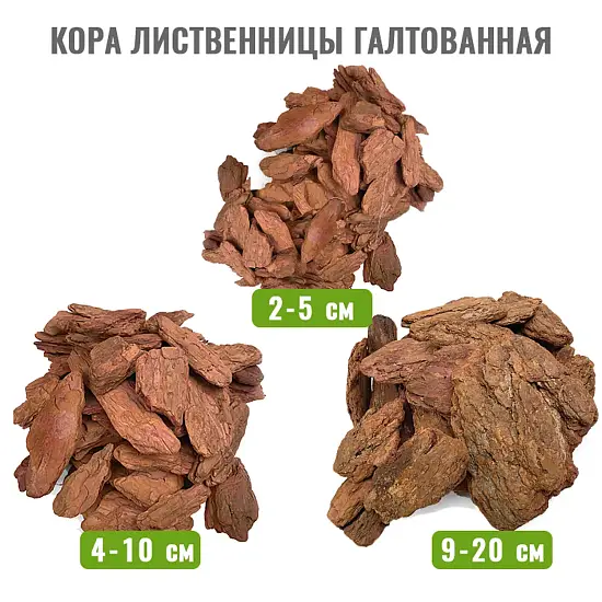 Кора лиственницы Крупная Галтованная поштучно, кг
