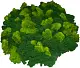 Мох стабилизированный №6 оливковый, 30*40 см, пак