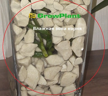 Пеностекло Субстрат Growplant, фр.  5-30 мм, зеленый, 50 л 
