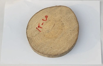Спил осина без шлифовки СОс, (Ø 15-20 см, h 2см), шт