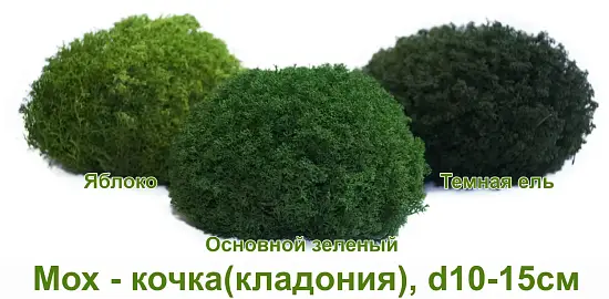 Мох - кочка 'кладония', Зеленый основной, Ø 10-15 см, шт