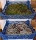 Мох натуральный, зеленый, лоток 30*40 см (без лотка), шт